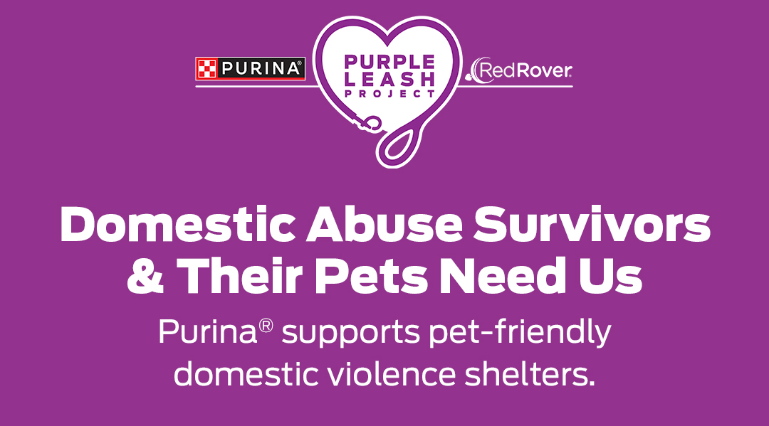 Domestic Abuse Survivors & Their Pets Need Us